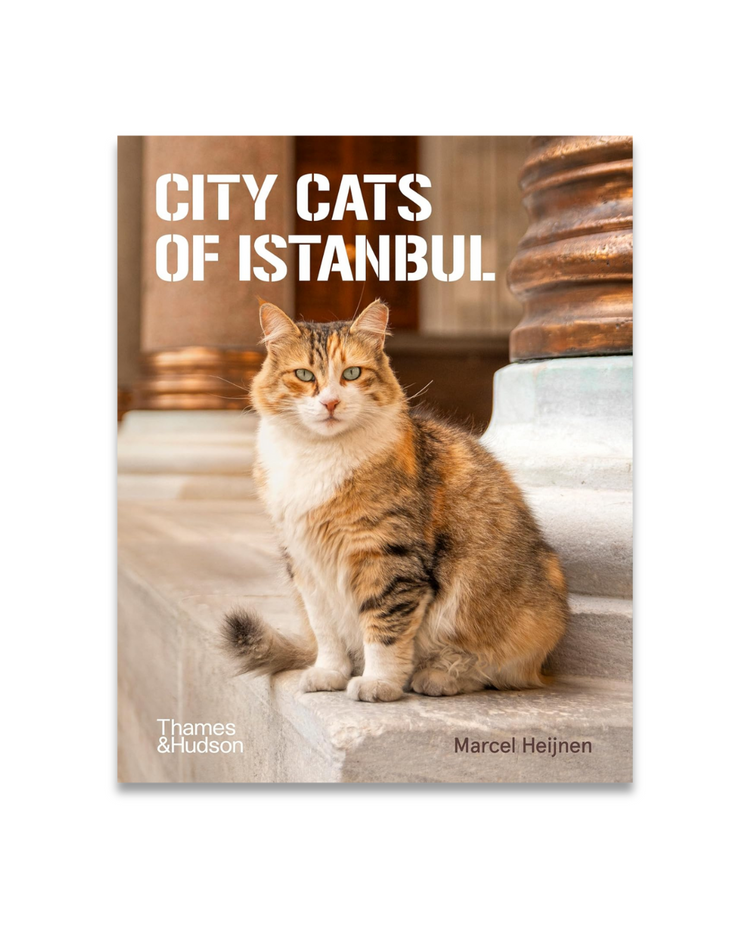 City Cats of Istanbul, Marcel Heijnen
