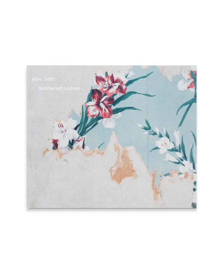 Alec Soth: Gathered Leaves Postcard Set