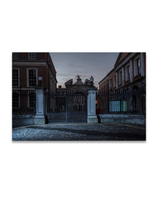 The Plot, Martin Cregg - Limited Edition Print