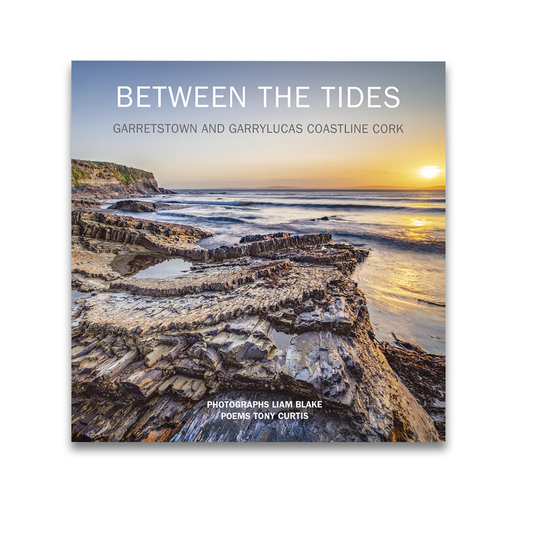 Between The Tides, Liam Blake & Tony Curtis