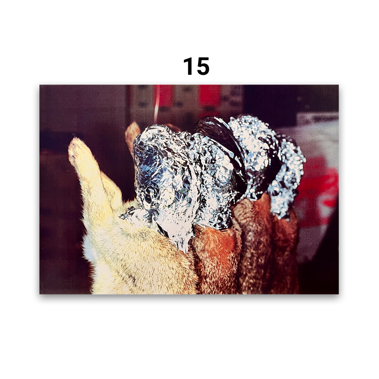Common Sense Prints (1995-1999), Martin Parr (Signed)