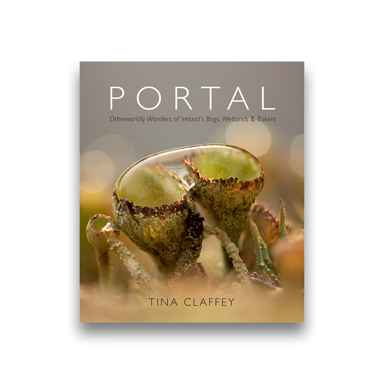 Portal - Otherworldly Wonders of Ireland's Bogs, Wetlands and Eskers Tina Claffey