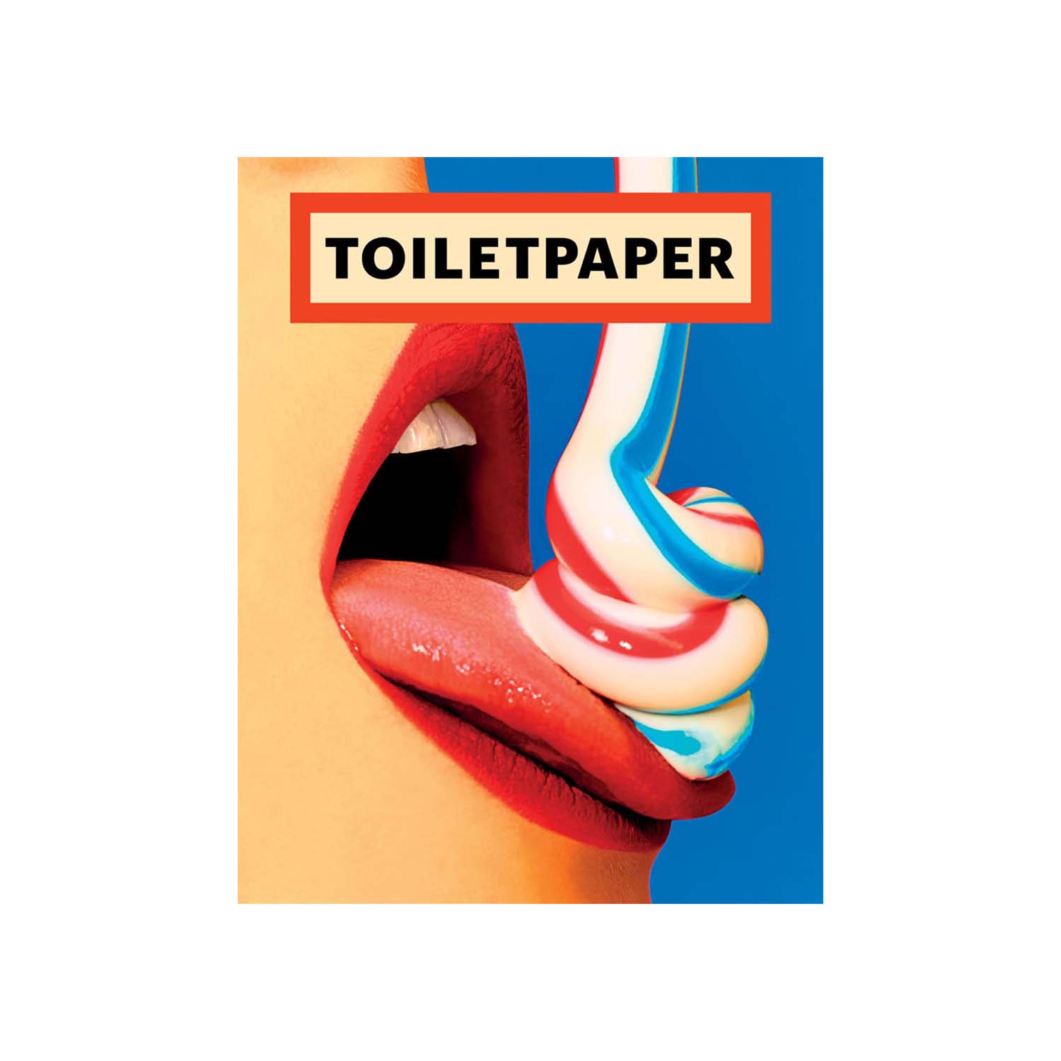 Toilet Paper. Photo Museum Ireland.