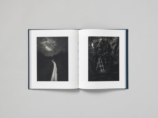 False Friends, Dominic Turner (Signed)