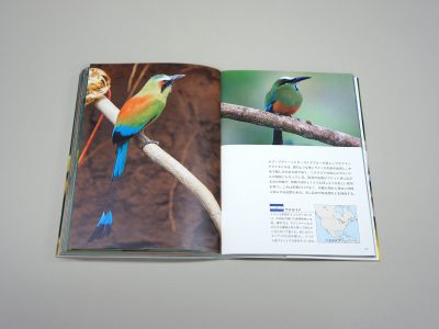 National Birds Around The World by Nomad Books