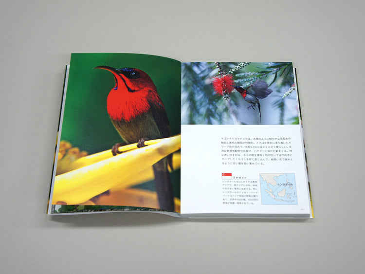 National Birds Around The World by Nomad Books