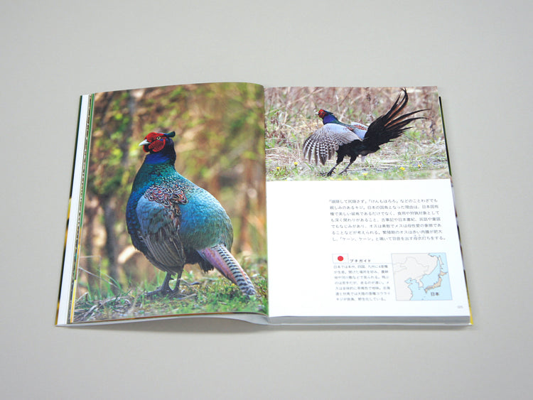 National Birds Around The World by Nomad Books