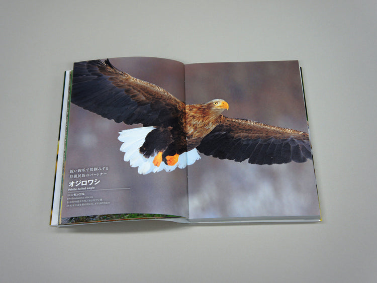 National Birds Around The World by Nomad Books