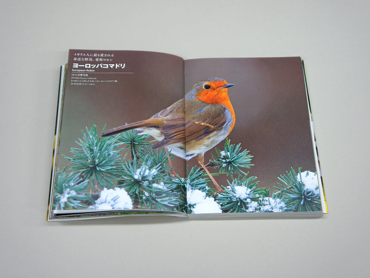 National Birds Around The World by Nomad Books