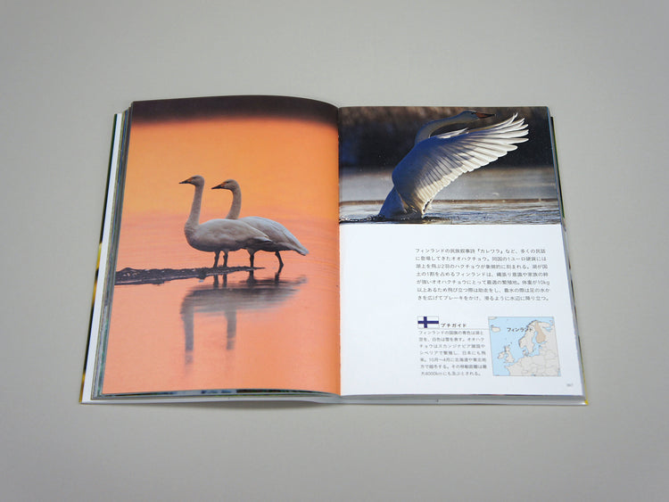 National Birds Around The World by Nomad Books