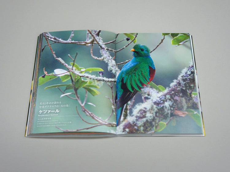 National Birds Around The World by Nomad Books