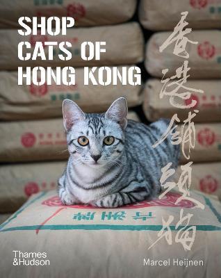 Shop Cats of Hong Kong by Marcel Heijnen