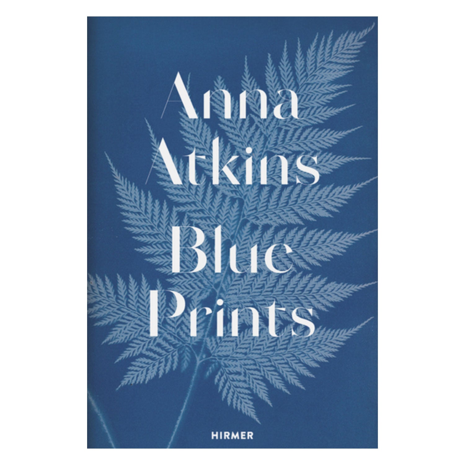 Anna Atkins Blue Prints. Photo Museum Ireland.