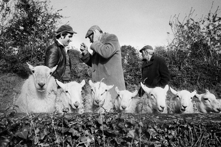 From the Pope to a Flat White: Ireland 1979-2019 by Martin Parr, Signed Copy