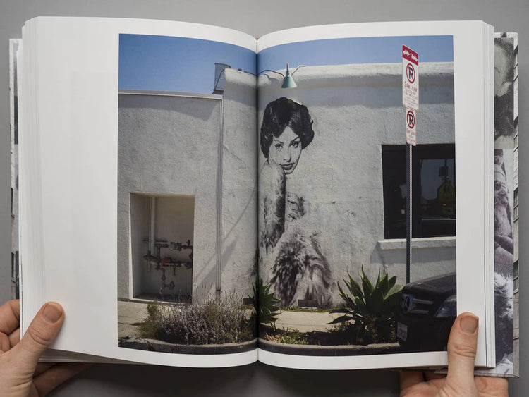 The Long Disease: LA Stories by Fiona Hackett