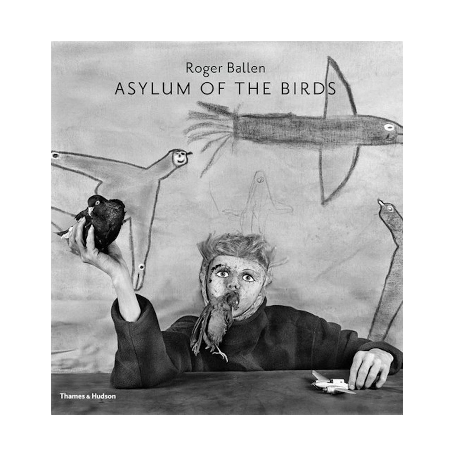 Asylum of the Birds by Roger Ballen Photo Museum Ireland