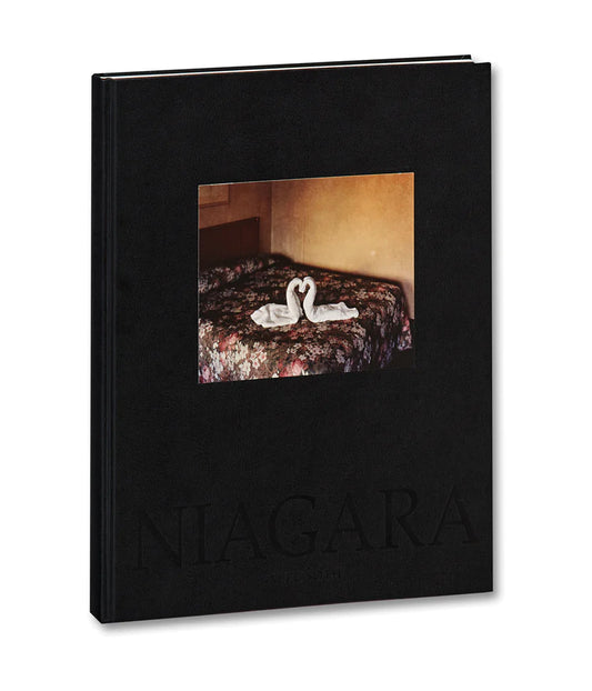 Niagara

 by Alec Soth