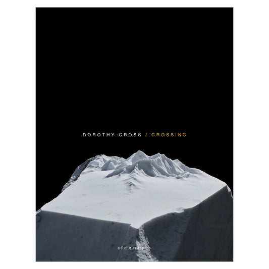 Crossing by Dorothy Cross