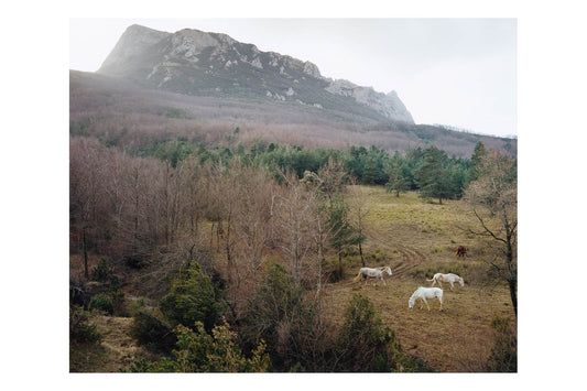 The time of dreaming the world awake by Yvette Monahan