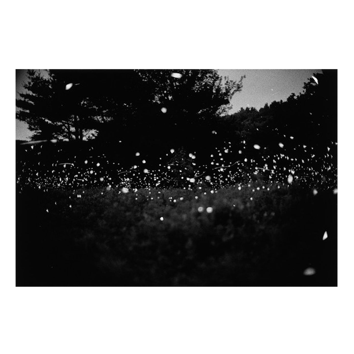 Fireflies by Gregory Crewdson Photo Museum Ireland