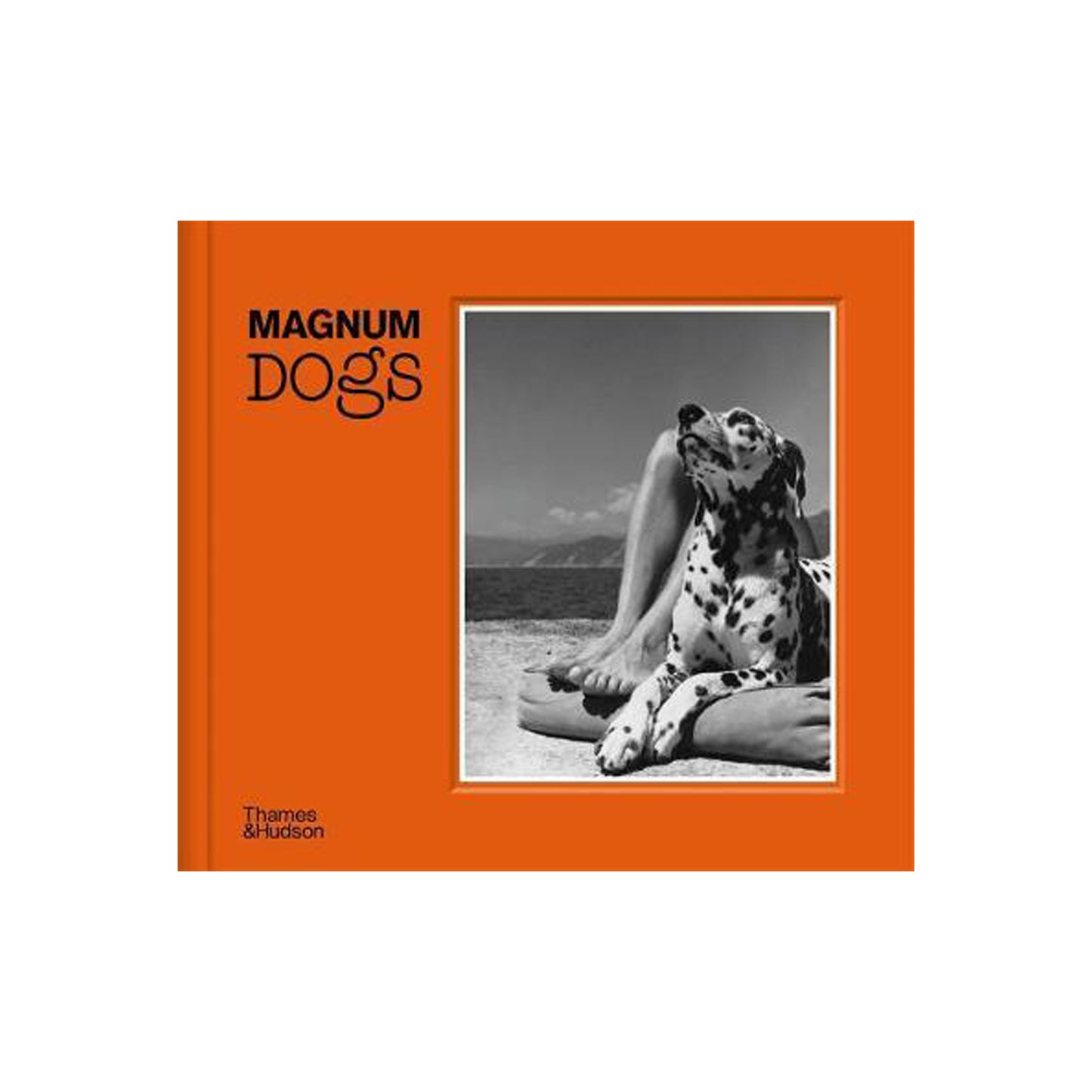 Magnum Dogs by Magnum Photos