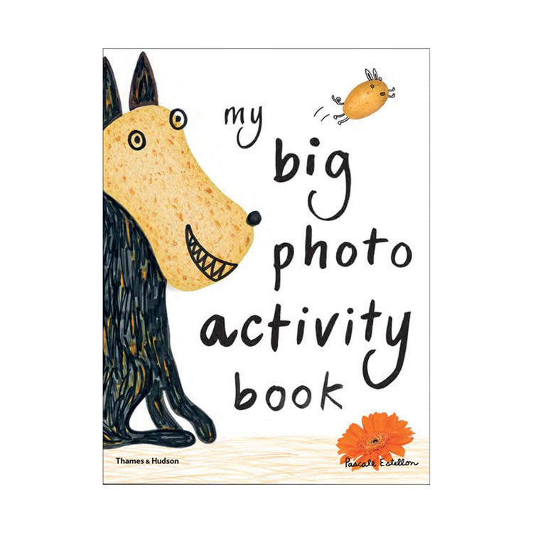 My Big Photo-activity Book by Pascale Estellon