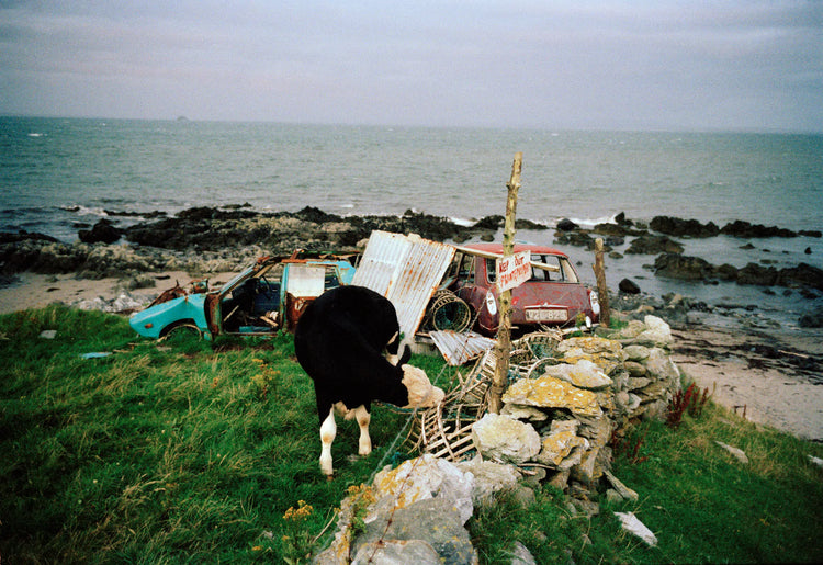 Irish Work, Tom Wood (With 4x6inch ctype signed print)