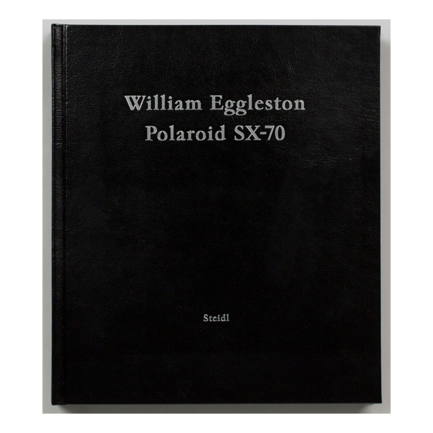 Polaroid SX-70 by William Eggleston Photo Museum Ireland