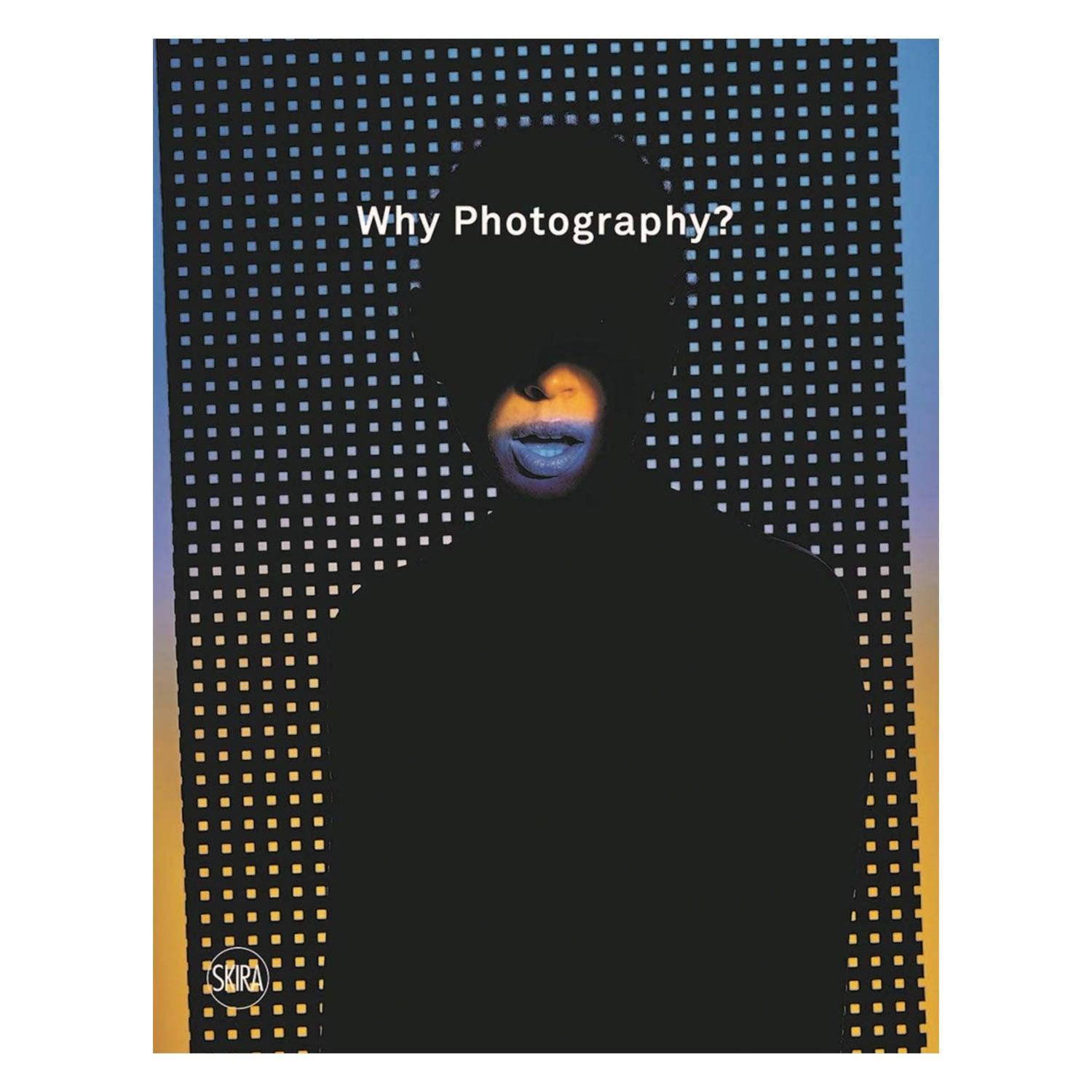 Why Photography?: New Visions: The Henie Onstad Triennial for Photography and New Media. Photo Museum Ireland